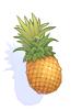 Image:Pineapple.jpg